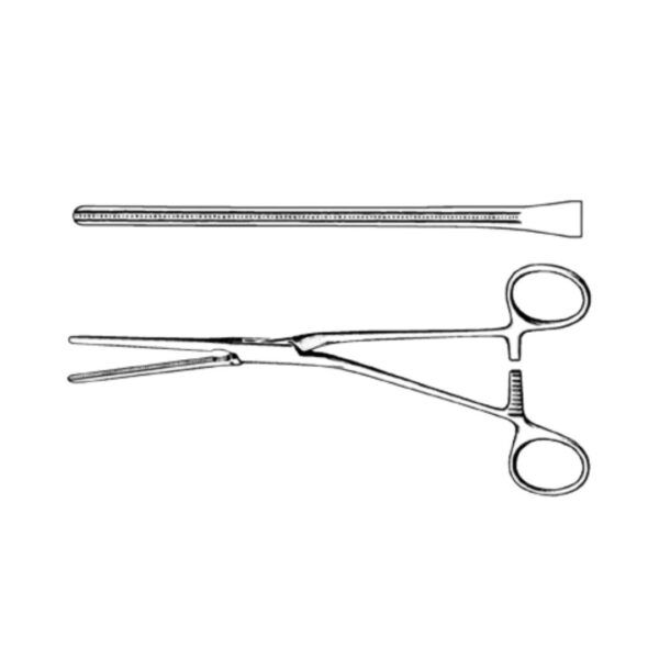 De Alvarez Forceps